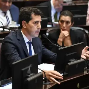 "Wado" de Pedro logró consenso aún con aliados libertarios en la resolución por el Día de la Memoria, Verdad y Justicia