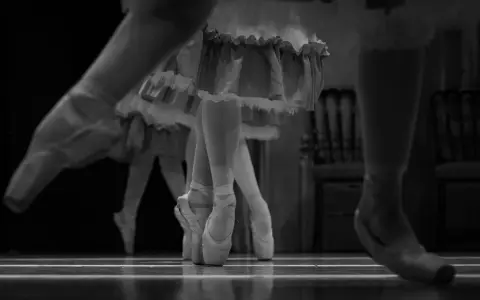 Baile de Graduados, Ballet de la Provincia