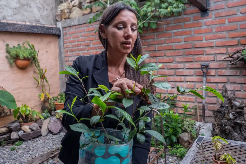 Cintia Sommelier de TÉ