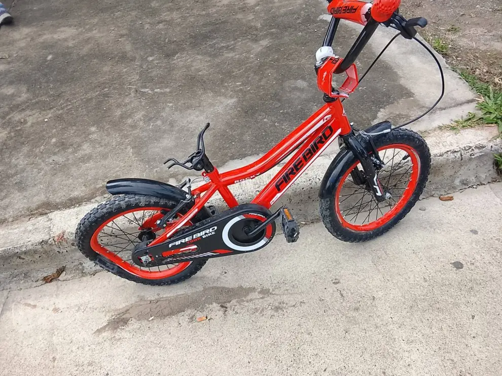 La bicicleta del niño embestido en el barrio Juan M. de Rosas.