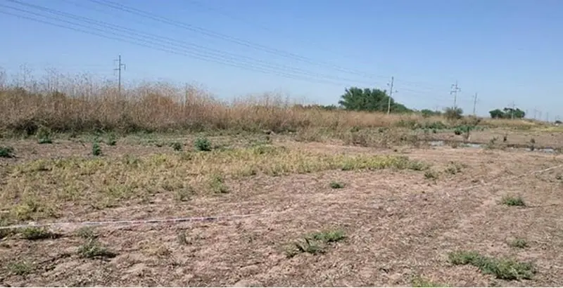 Zona donde hallaron los restos de Almaraz.