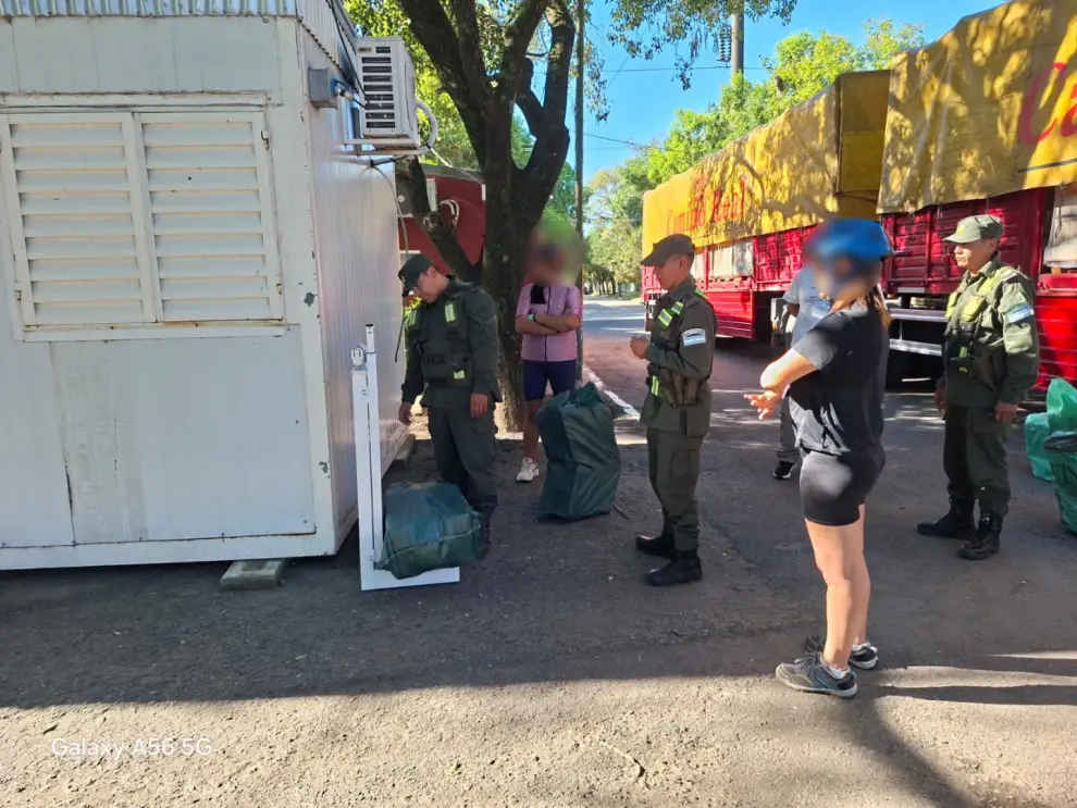 Cargamento de hojas de coca que salió de Salta fue secuestrado en Santa Fe.