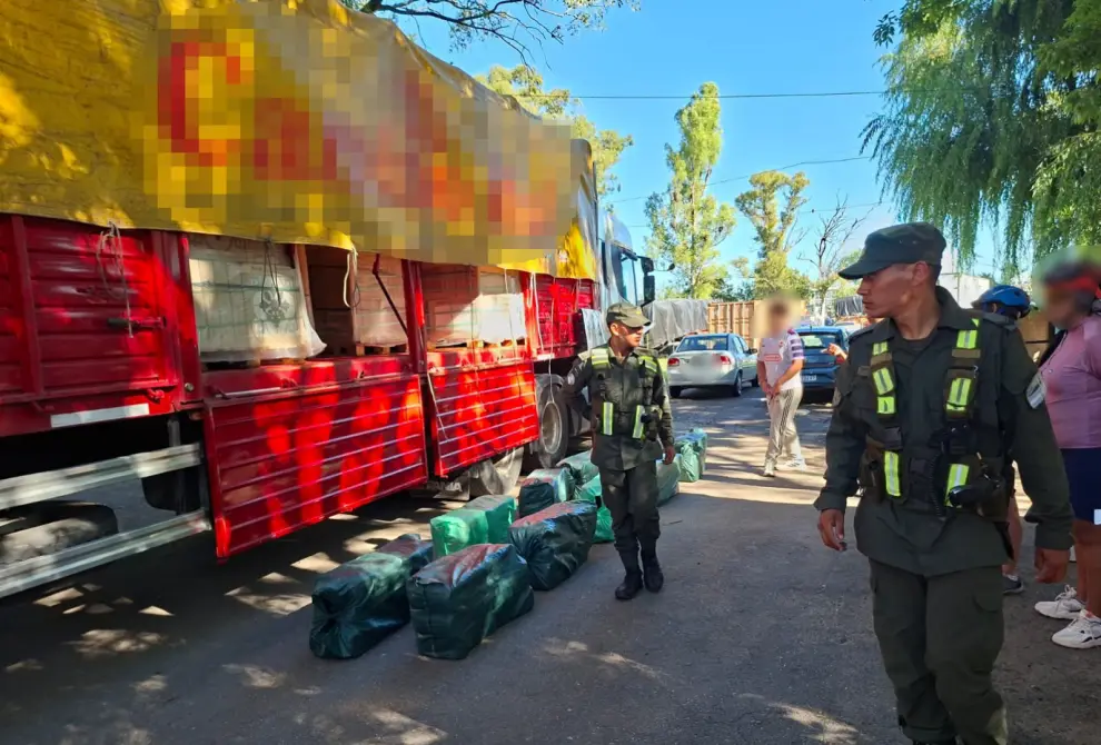 Cargamento de hojas de coca que salió de Salta fue secuestrado en Santa Fe.
