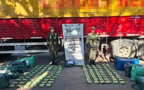 Cargamento de hojas de coca que salió de Salta fue secuestrado en Santa Fe.