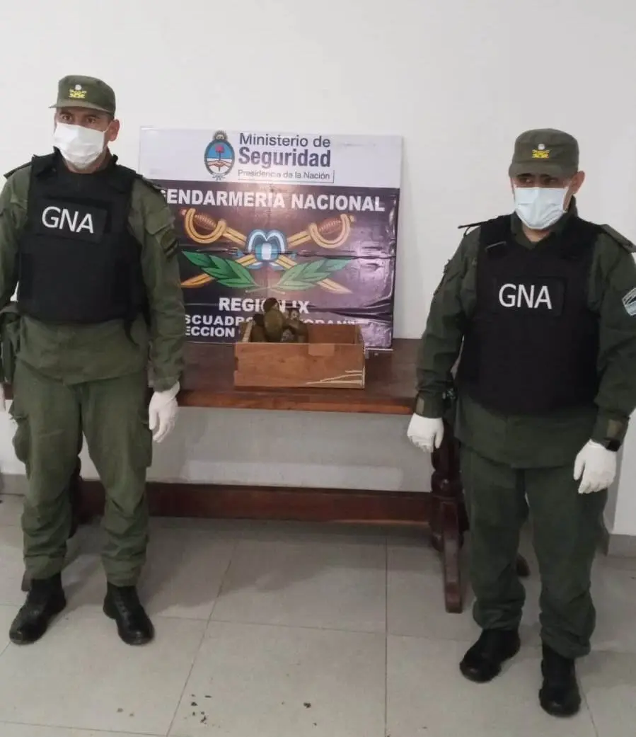 Gendarmes rescataron a los animales que estaban escondidos en una caja.