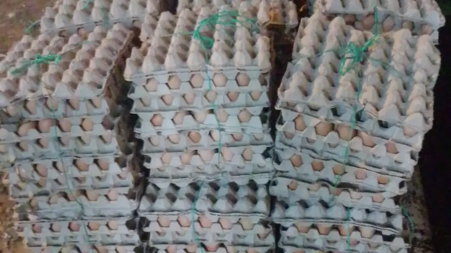 Decomiso de cargamento de huevos