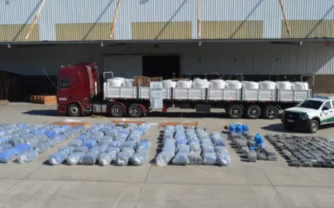 Más de 3.800 kilos de hojas de coca que transportaban desde Salta fueron incautados en Tucumán