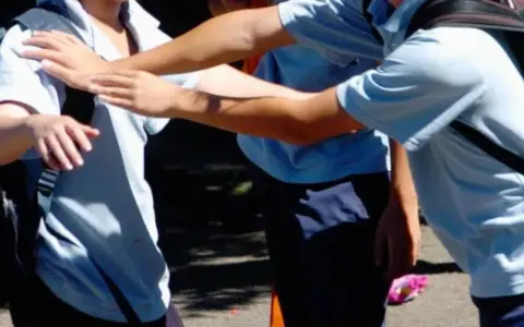 Violencia escolar.
