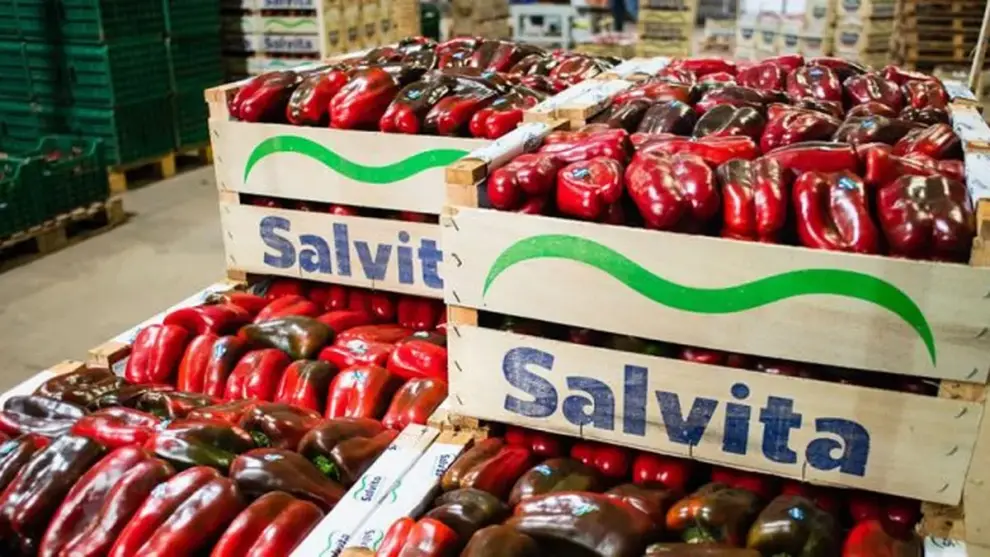 La gigante agroindustrial salteña.