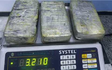 Los tres "ladrillos" con la droga compactada.