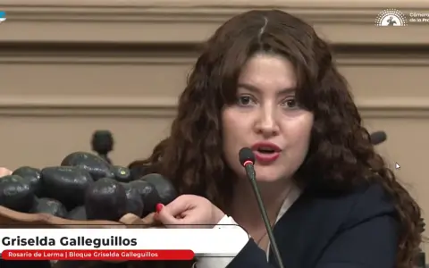 Griselda Galleguillos