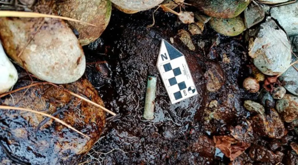 Material hallado en la Isla de los Estados