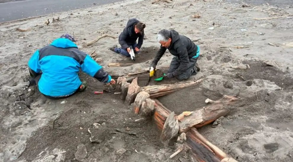 Los investigadores en la Isla de los Estados