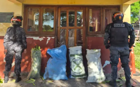 Las bolsas de choclos secuestradas