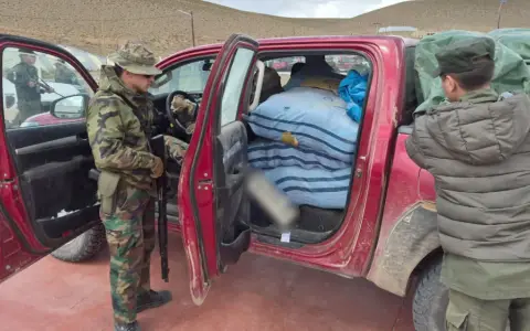 Secuestran casi 380 kilos de marihuana y 7 de cocaína en la Puna salteña