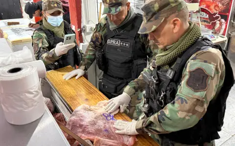 Megaoperativo permitió desarticular la banda más importante vinculada al abigeato, que operaba en el Valle de Lerma. 