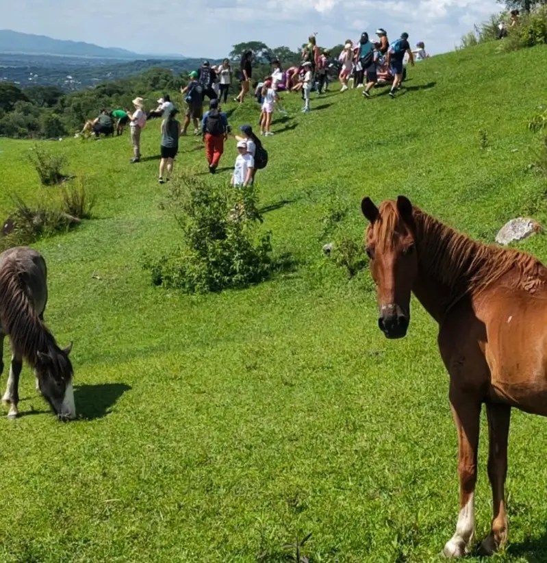 Caminatas con sentido