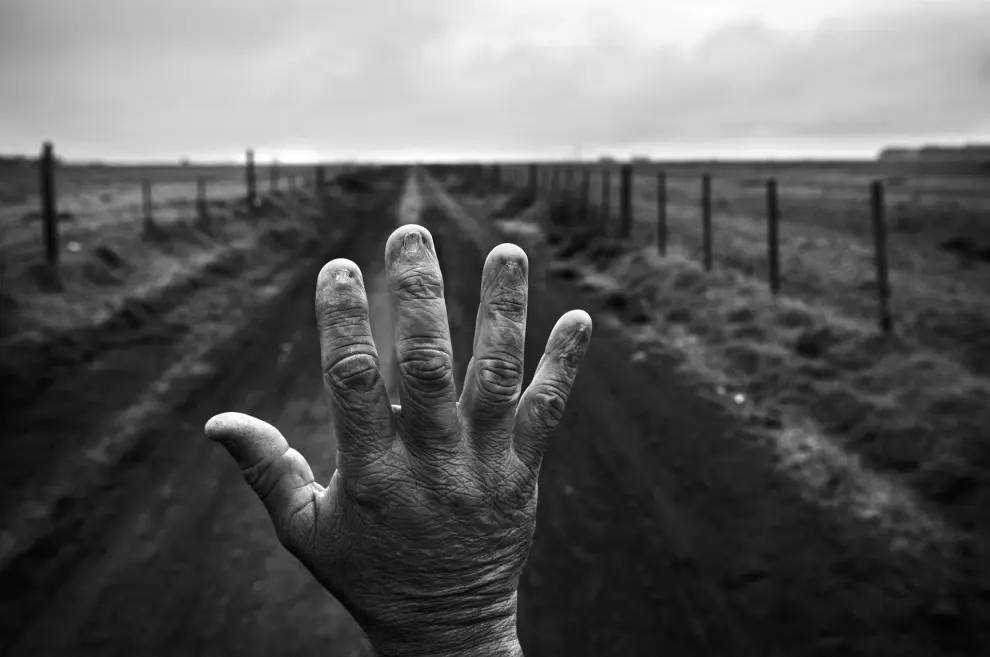 El costo humano de los agrotóxicos