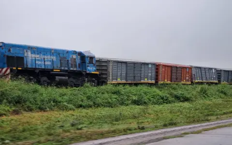Los vagones del tren de carga que descarriló en Rosario de la Frontera