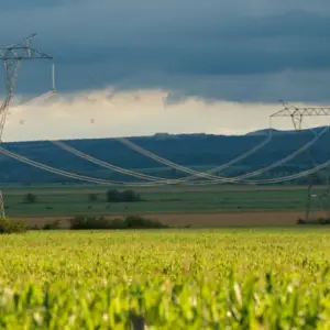 Transener: Tres ofertas en danza por la privatización de la principal red eléctrica del país