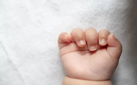 Bebé