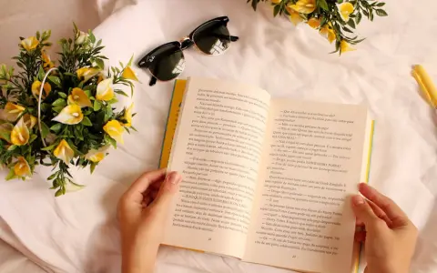 Persona Sosteniendo Un Libro