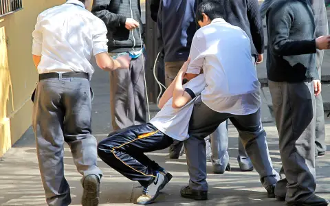 Imagen ilustrativa de jóvenes de un colegio peleando. 