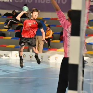 Sin elecciones ni presentación de balances a la vista: crecen los reclamos en la Asociación Salteña de Handball