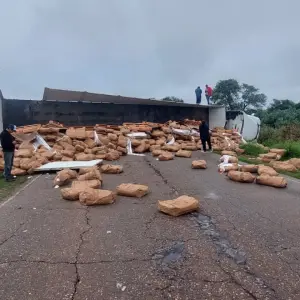 Volcó un camión y volaron los palmitos sobre la ruta provincial 5