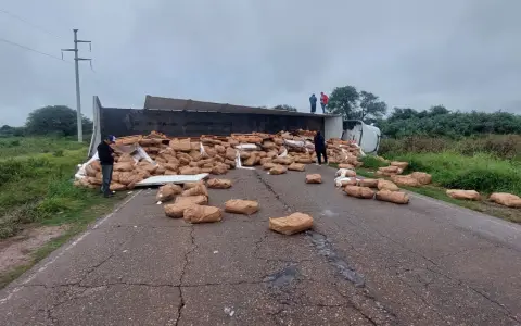 Los paquetes con palmitos que quedaron desparramados.