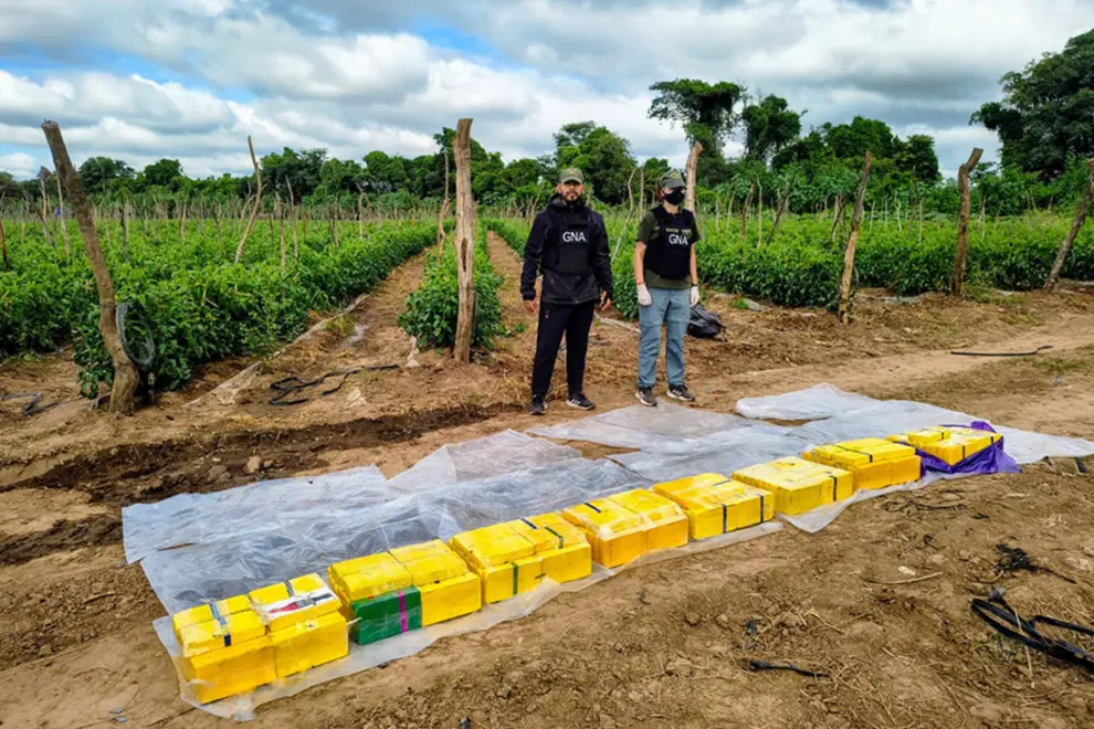 La banda que alquilaba fincas para almacenar cocaína