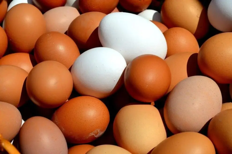 Huevos saludables