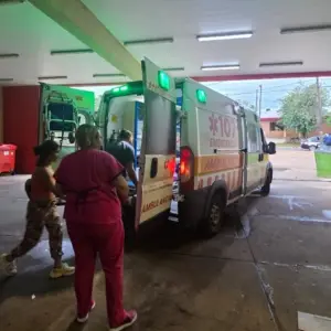 Estremecedor: un nene de 7 años fue atacado por siete perros mientras jugaba en su casa