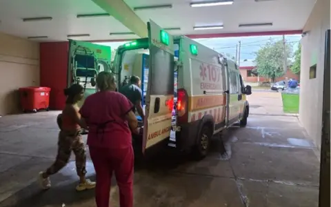Niño de 7 años atacado en Misiones.