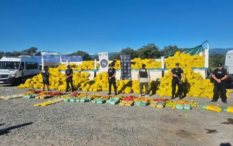 La carga de limones en la que estaban ocultos los 150 kilos de droga