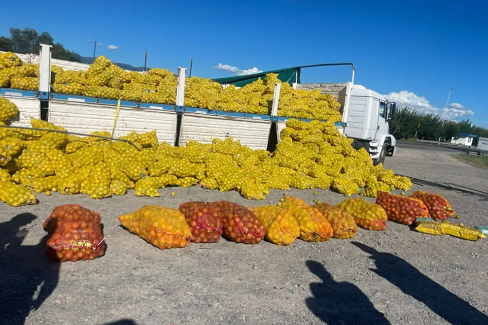 La carga de limones en la que iban ocultos los 150 kilos de la droga
