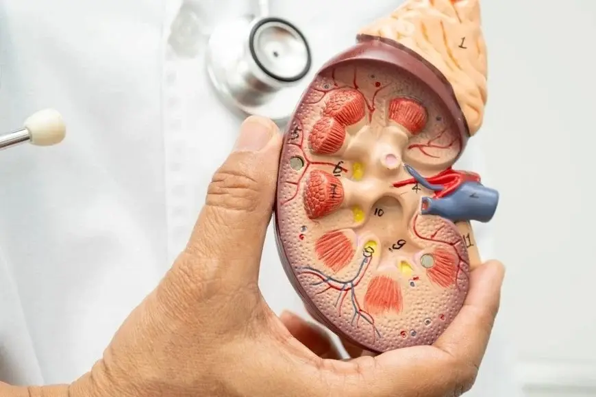 Cáncer de páncreas