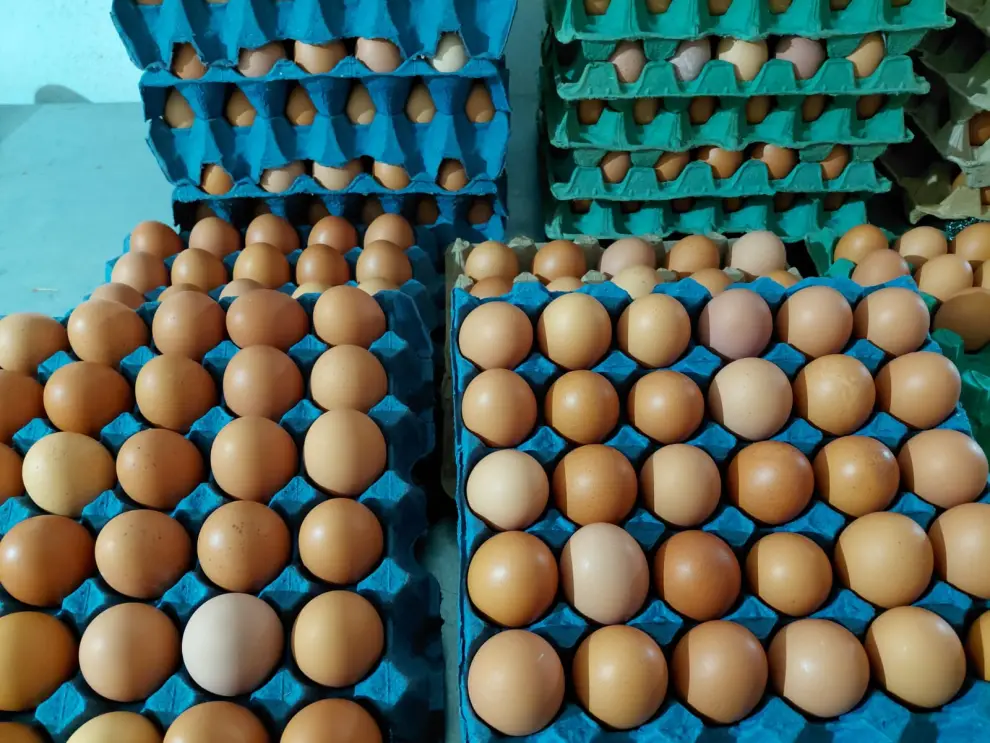 Huevos de la Granja La Martina Eggs