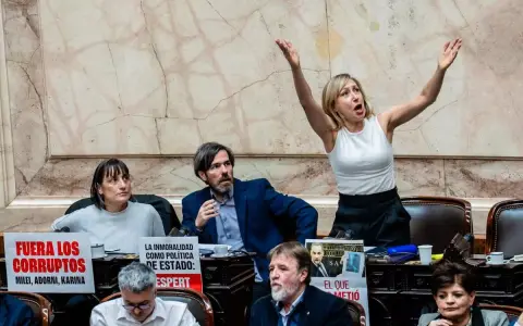 La diputada Myriam Bregman gesticula en el recinto.