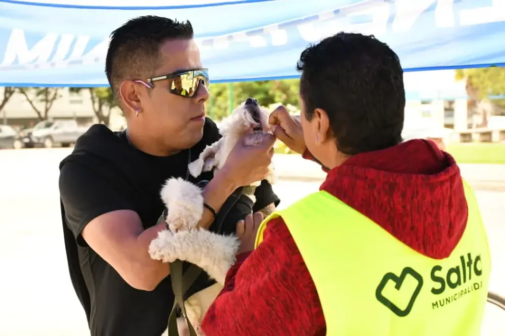 vacunacion-antirrabica-22