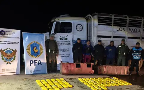 Efectivos de las tres fuerzas junto a los ladrillos de cocaína encontrados en el camión