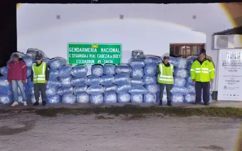 Gendarmes impidieron el traslado de una tonelada y media de hojas de coca hacia Buenos Aires.