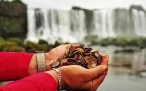 400 kg de monedas en las Cataratas.