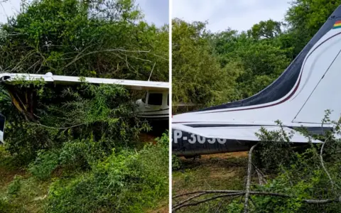 Avioneta siniestrada en el Chaco salteño.