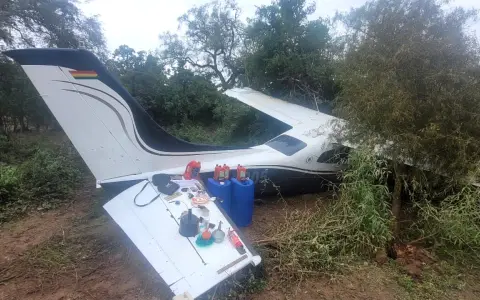 Avioneta que cayó en Los Blancos.