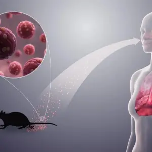Científicos de varias universidades cuestionan a la Organización Mundial de la Salud por el brote de hantavirus