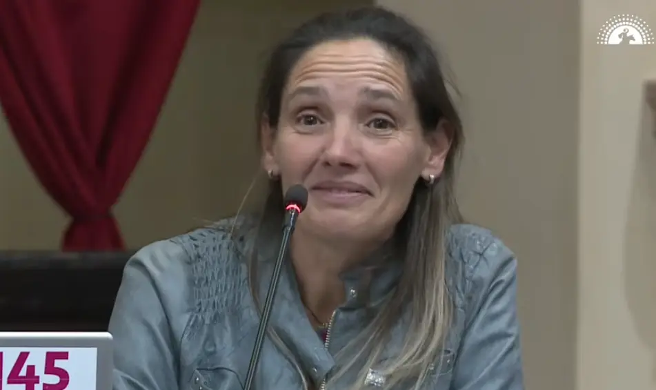 Capturas diputados de Salta