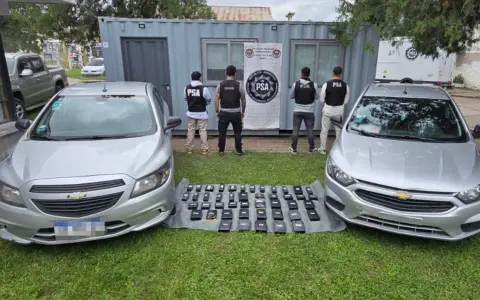 Droga secuestrada por la PSA