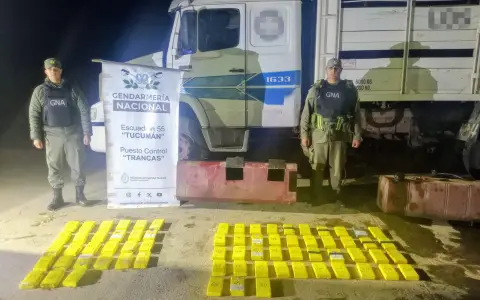 Los "ladrillos" secuestrados.