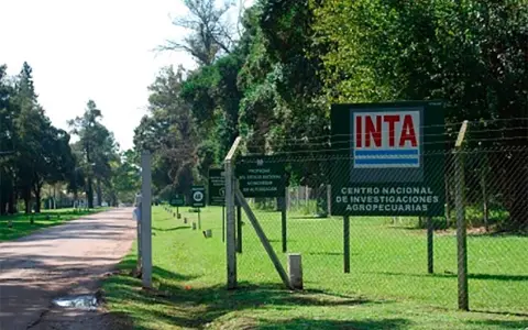 INTA